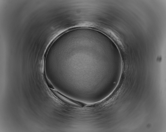 X0000101161276200806271001
