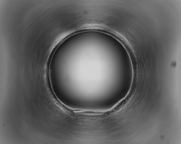 X0000101161277200806271001
