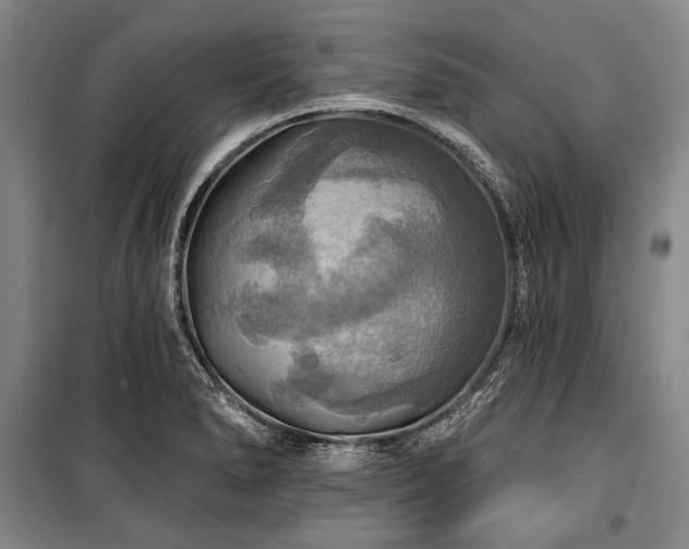 X0000101161278200806271001