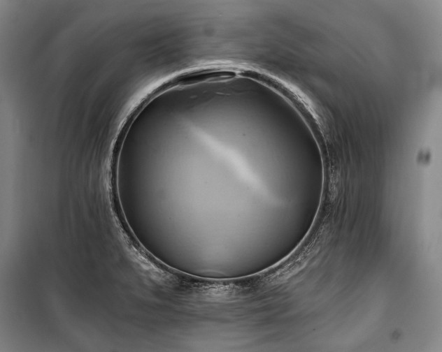 X0000101161279200806271001
