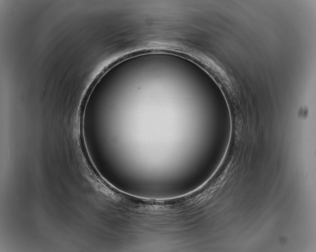 X0000101161280200806271000