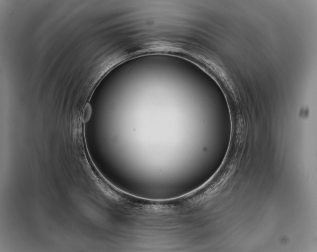 X0000101161281200806271000