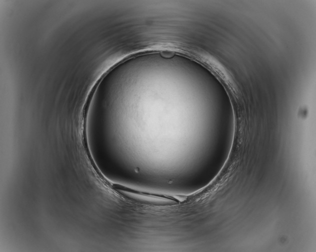 X0000101161284200806271000