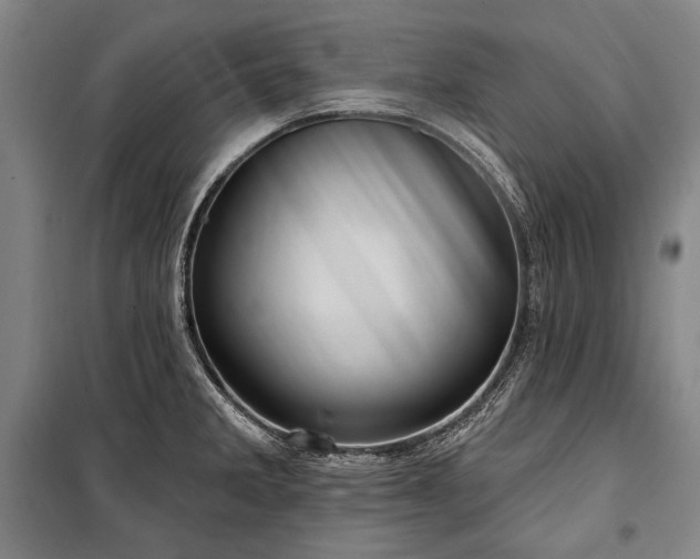 X0000101161285200806271000