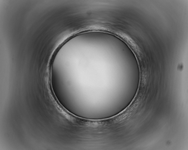 X0000101161286200806271000