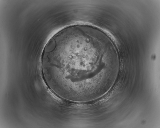 X0000101161287200806271000