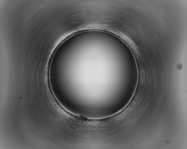 X0000101161288200806271000
