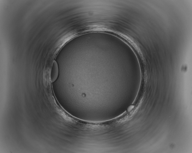 X0000101161289200806271000
