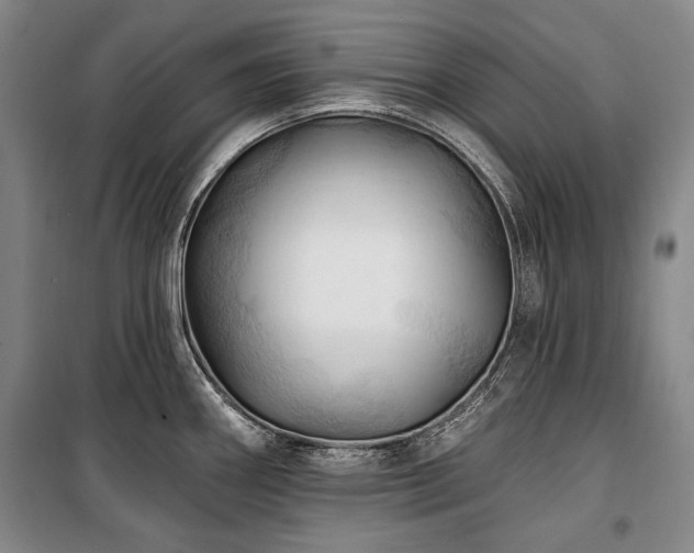 X0000101161290200806271000
