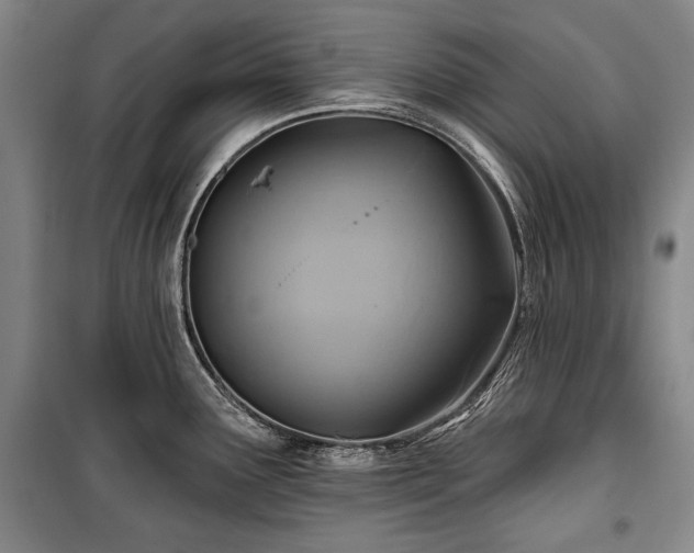 X0000101161291200806271000
