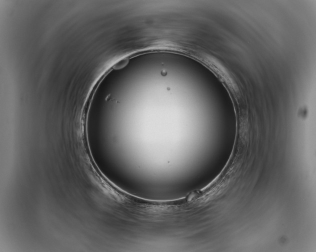 X0000101161292200806271000