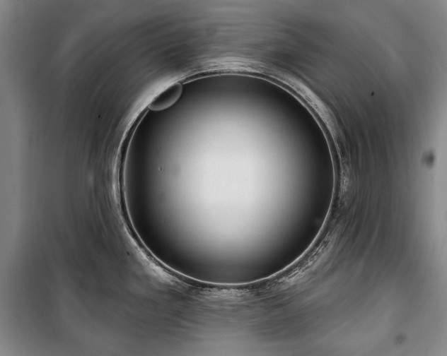 X0000101161293200806271000