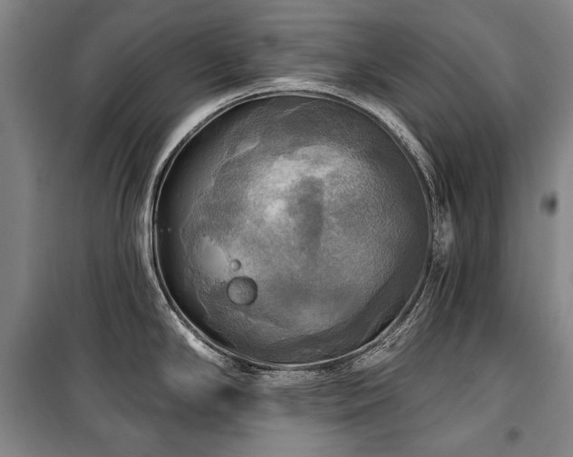 X0000101161294200806271000