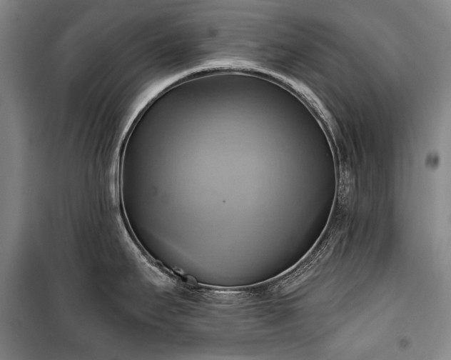 X0000101161295200806271000