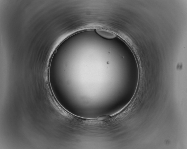 X0000101161296200806271000