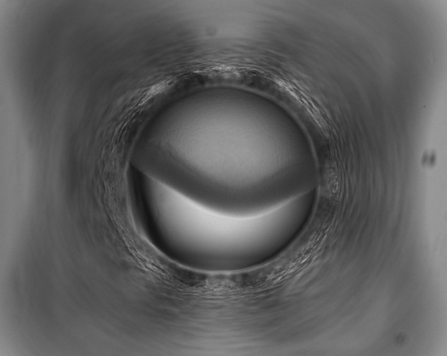 X0000101161297200806270959