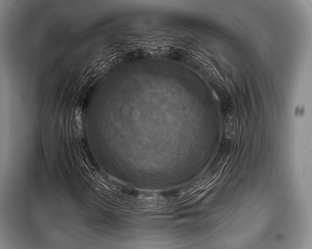 X0000101161298200806270959