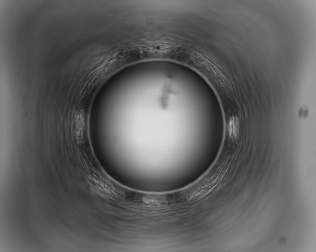 X0000101161299200806270959