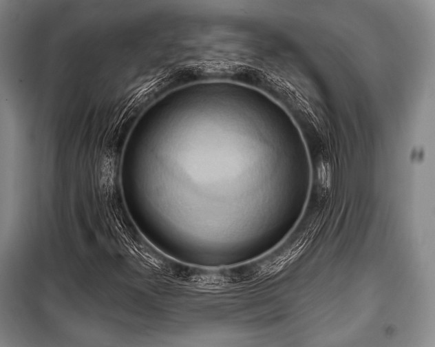 X0000101161300200806270959