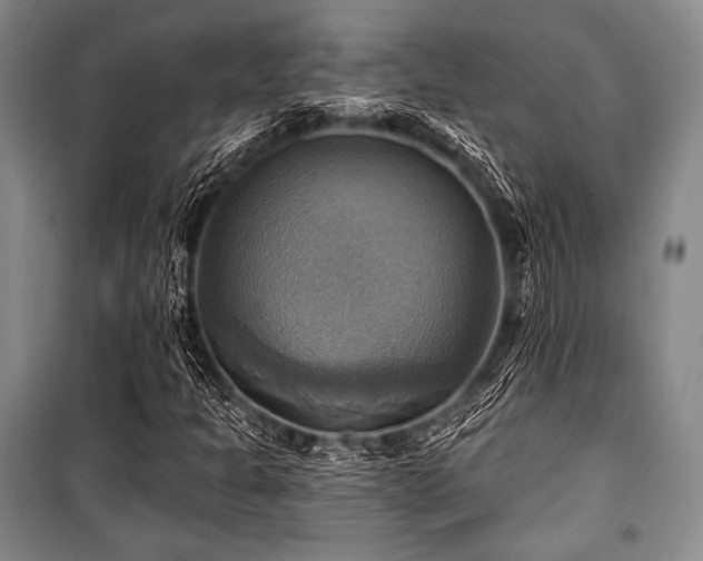 X0000101161301200806270959