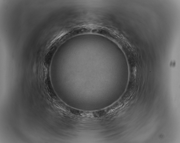 X0000101161302200806270959