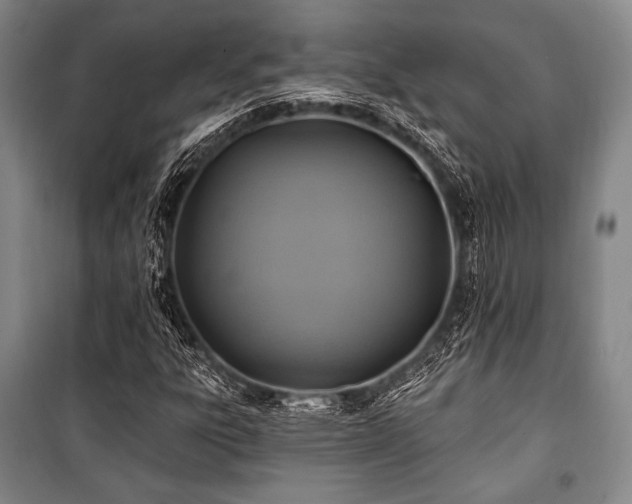 X0000101161303200806270959