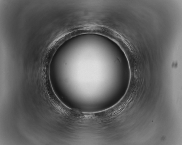 X0000101161304200806270959