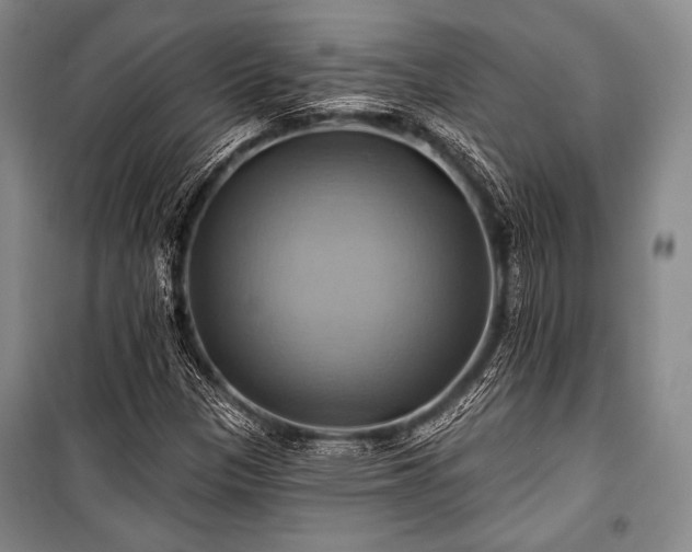 X0000101161305200806270959