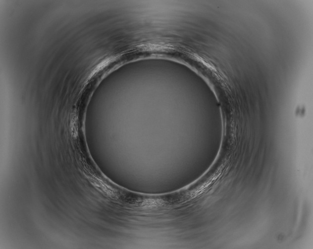 X0000101161306200806270959