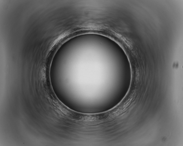 X0000101161307200806270959