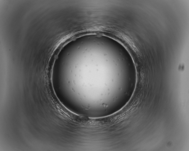 X0000101161308200806271000