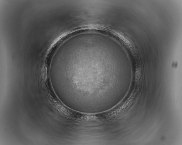 X0000101161310200806271000