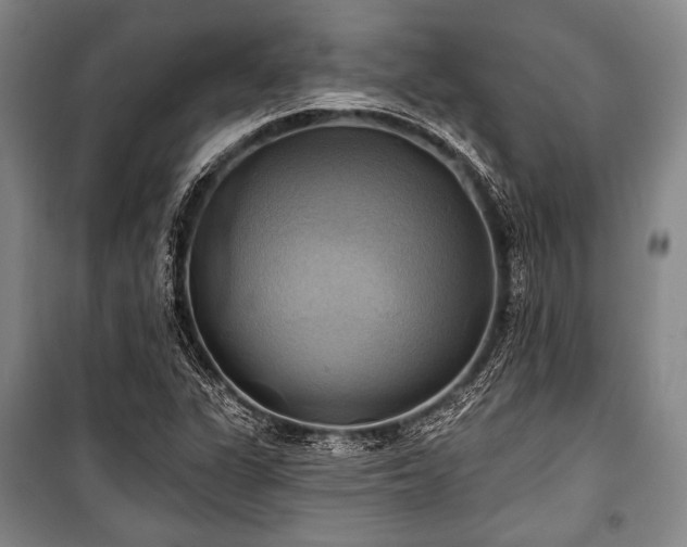 X0000101161311200806271000