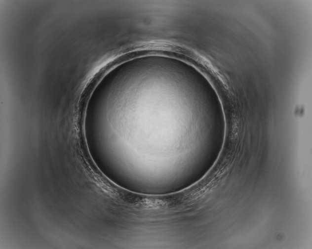 X0000101161312200806271000