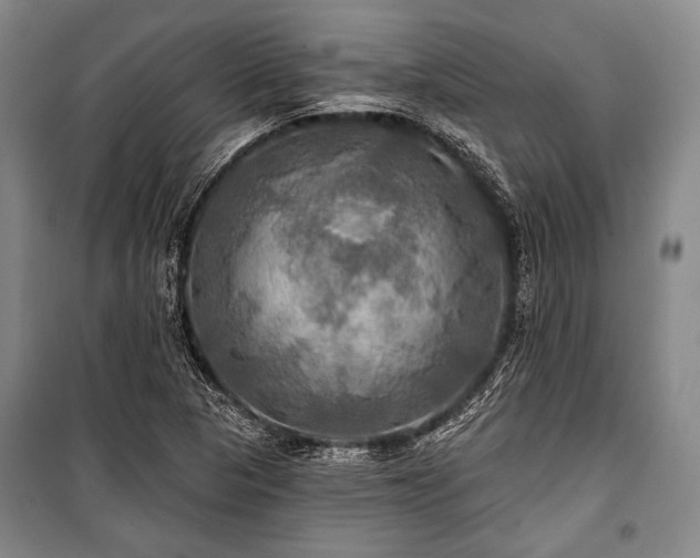 X0000101161313200806271000