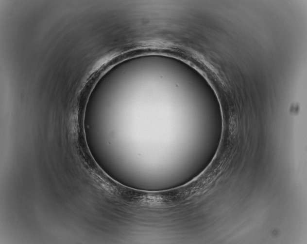 X0000101161315200806271000