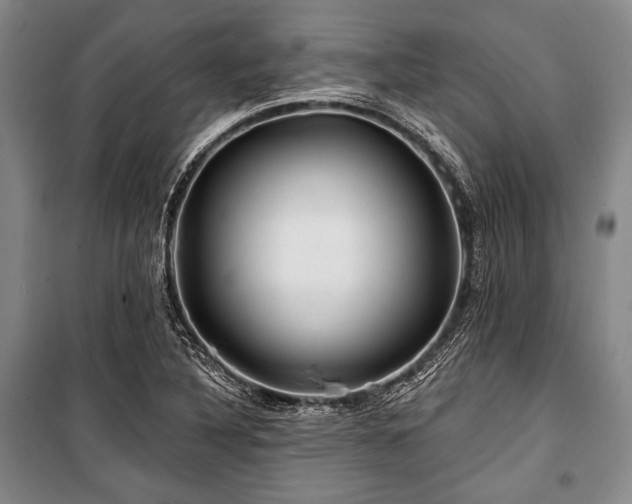 X0000101161316200806271000