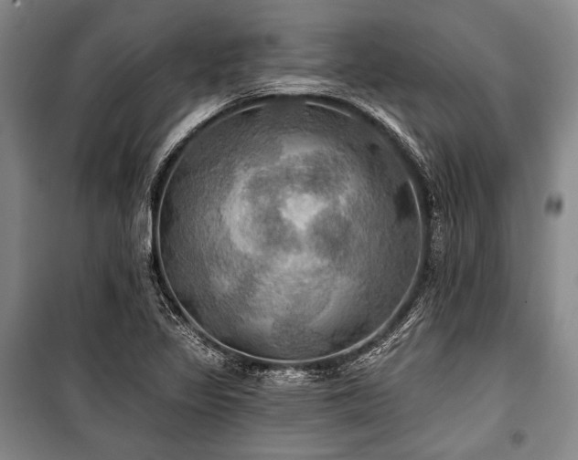 X0000101161317200806271000