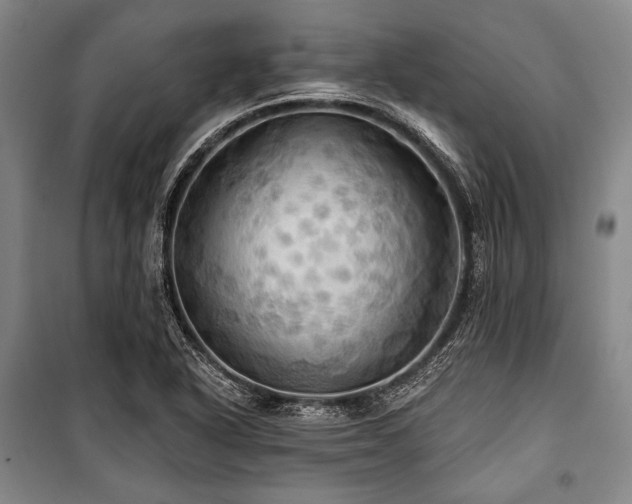 X0000101161318200806271000
