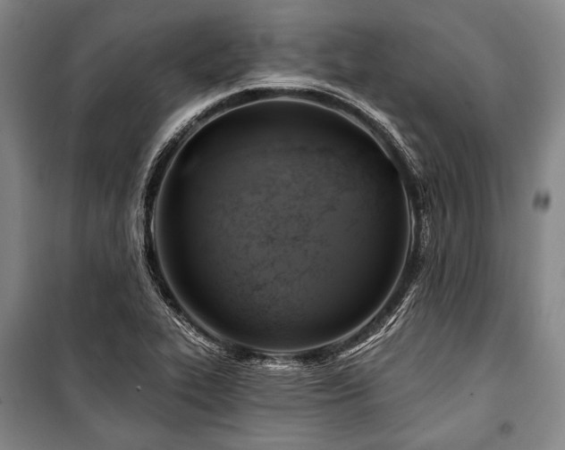 X0000101161319200806271000