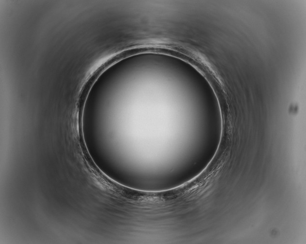 X0000101161320200806271000