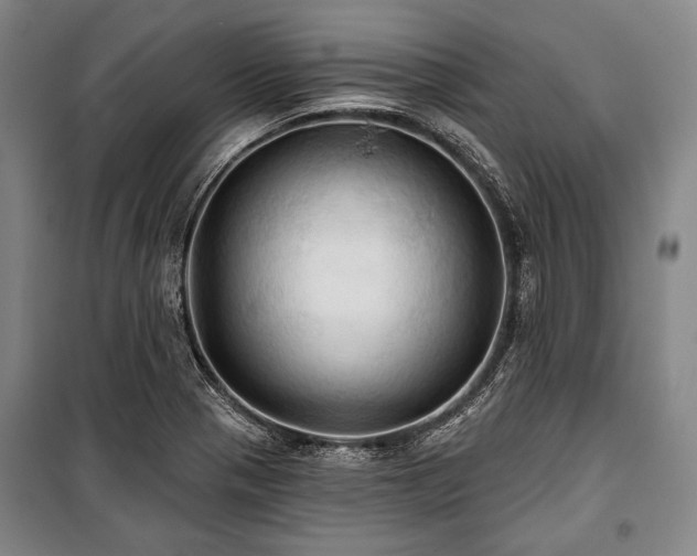 X0000101161321200806271000