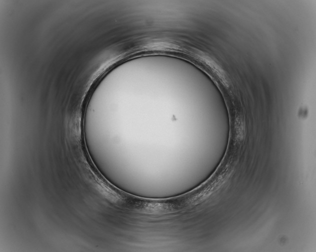 X0000101161322200806271000