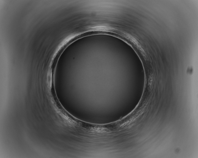 X0000101161323200806271000