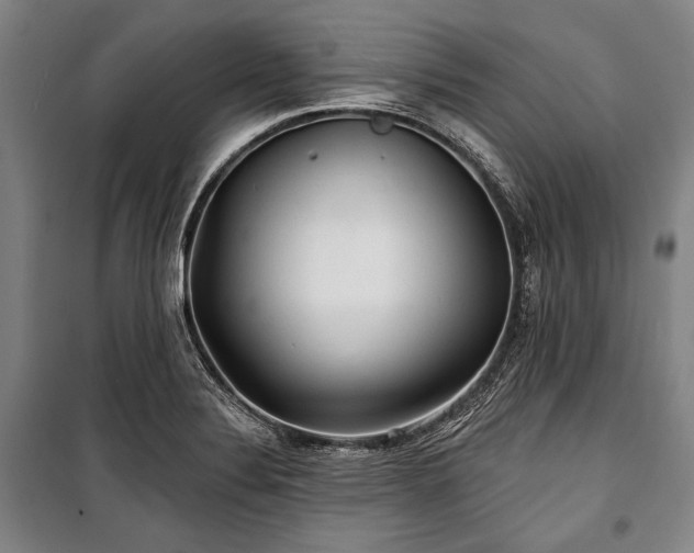 X0000101161324200806271000