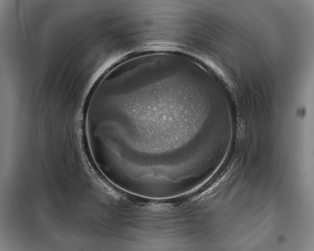 X0000101161325200806271000