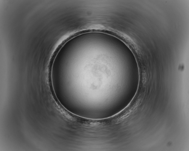 X0000101161326200806271000
