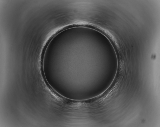 X0000101161327200806271000