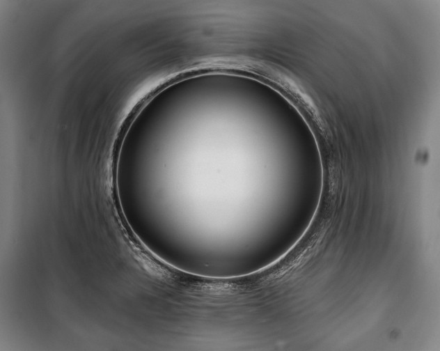 X0000101161328200806271000