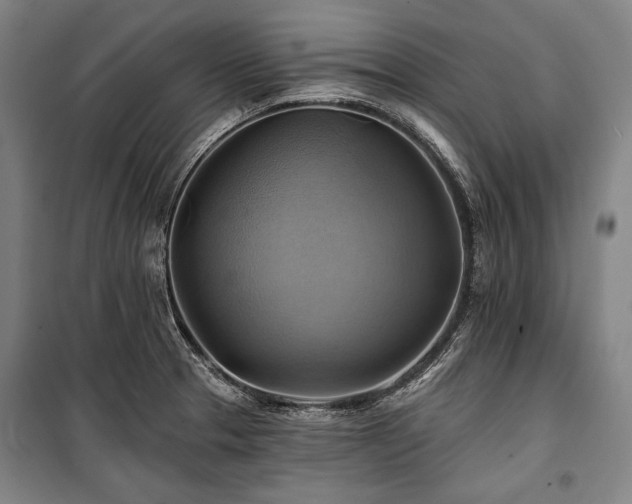 X0000101161329200806271000